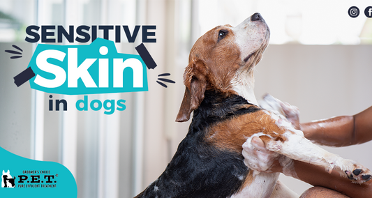 Sensitive skin in dogs