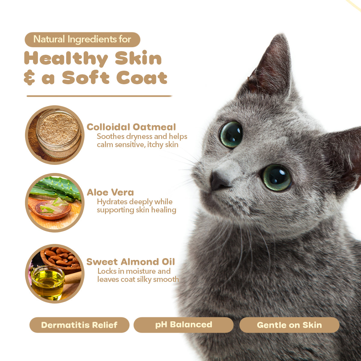 Oatmeal Plus® Vanilla Almond - Deep Moisturizing & Allergy-Safe Shampoo
