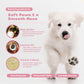 Paw & Nose® Cream for Dogs - Soothing & Protective Balm