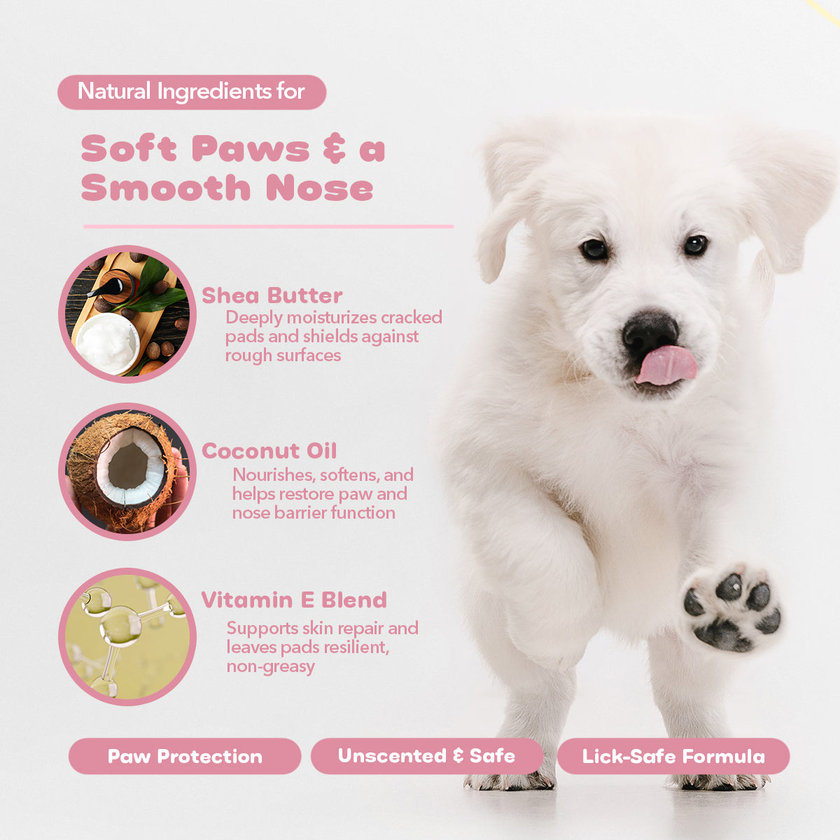 Paw & Nose® Cream for Dogs