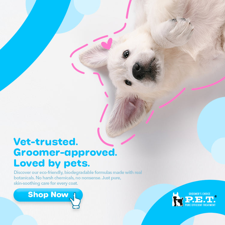 dog-banner-mobile