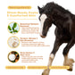 Mane, Body & Tail Horse Scratchiez® - Natural Itch & Skin Relief