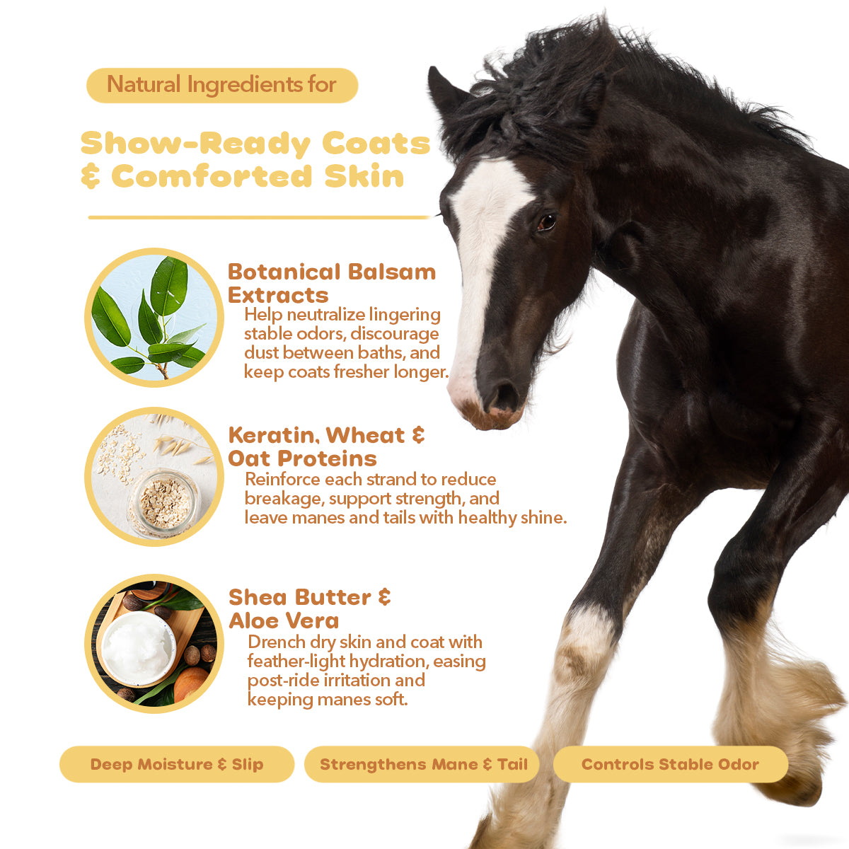 Mane, Body & Tail Horse Scratchiez® - Natural Itch & Skin Relief