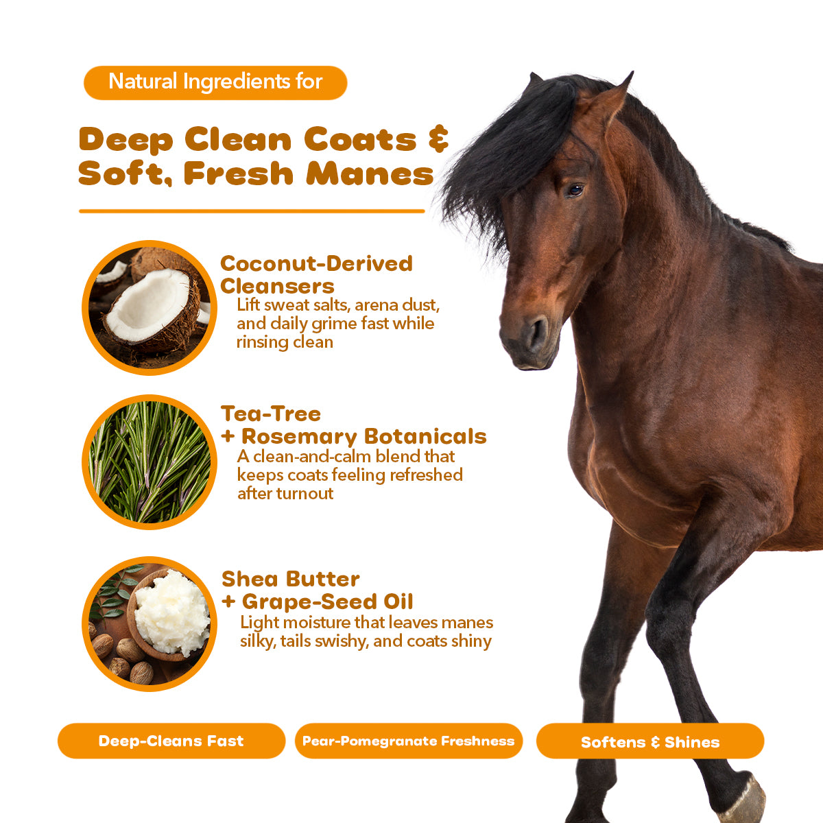 Mane, Body & Tail Horse® - Professional Grooming Shampoo & Conditioner
