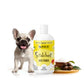 Scratchiez® Mango Mambo - Soothing Oatmeal & Aloe Relief for Dogs & Cats