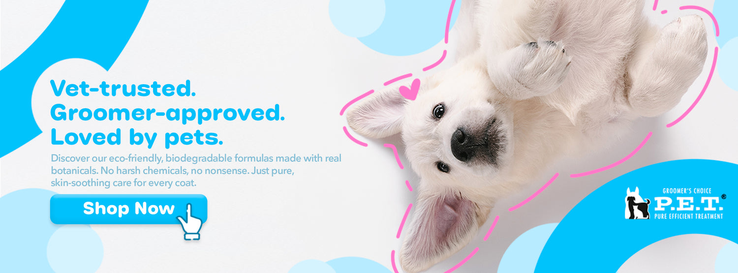 dog-banner